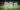 El Barça debuta en Son Moix
